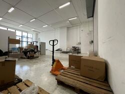 Win 5 (D27), Factory #575673451